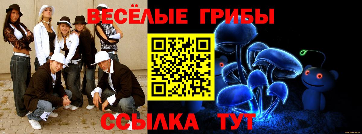 Тула  Псилоцибиновые грибы прущие грибы  Вход с VPN  Псилоцибиновые грибы GOLDEN TEACHER 