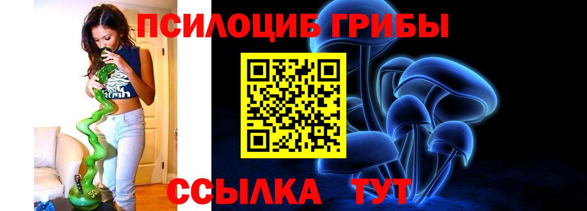 Псилоцибиновые грибы Magic Shrooms Тула